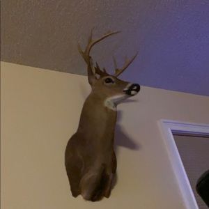 Meet your Posher, Ricardo